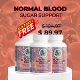 BLOOD SUGAR SUPPORT 2 + 1